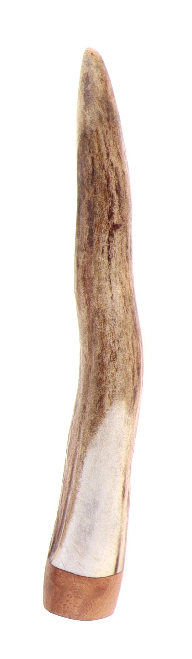 Pascucci - Pigino in Corno e Legno