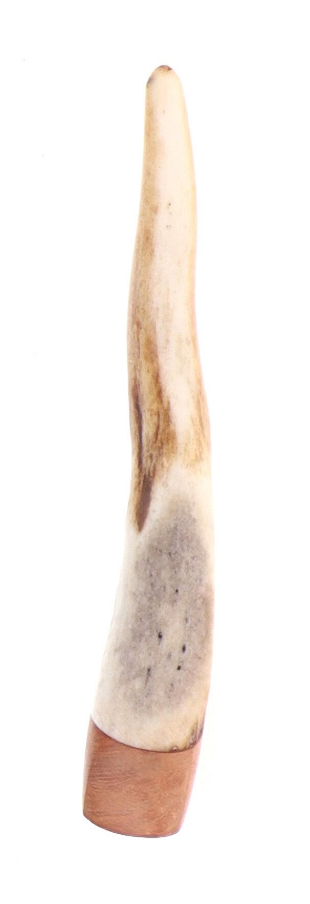 Pascucci - Pigino in Corno e Legno