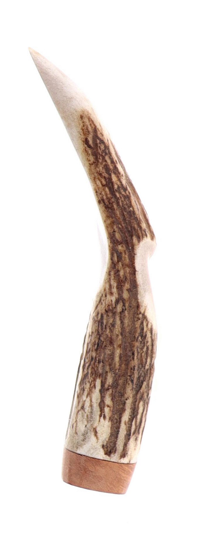 Pascucci - Pigino in Corno e Legno