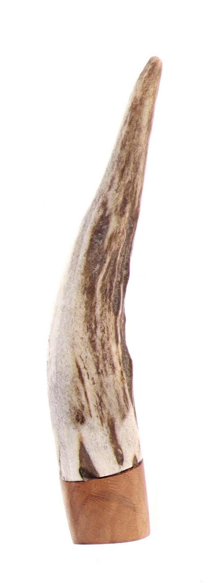 Pascucci - Pigino in Corno e Legno