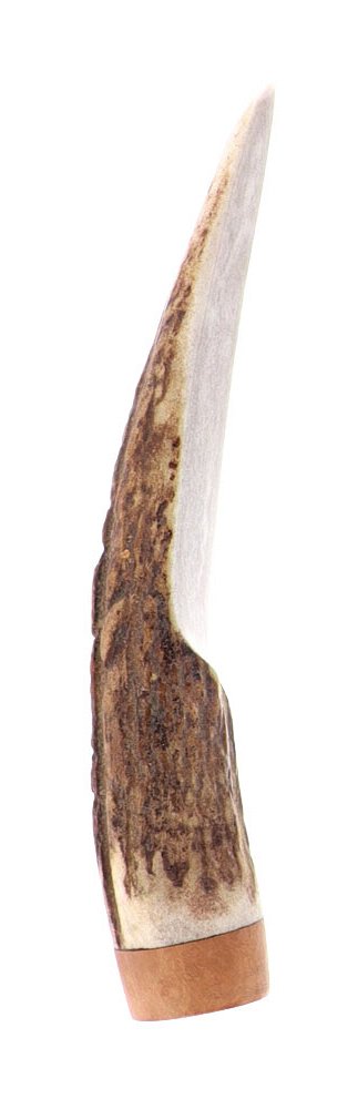 Pascucci - Pigino in Corno e Legno