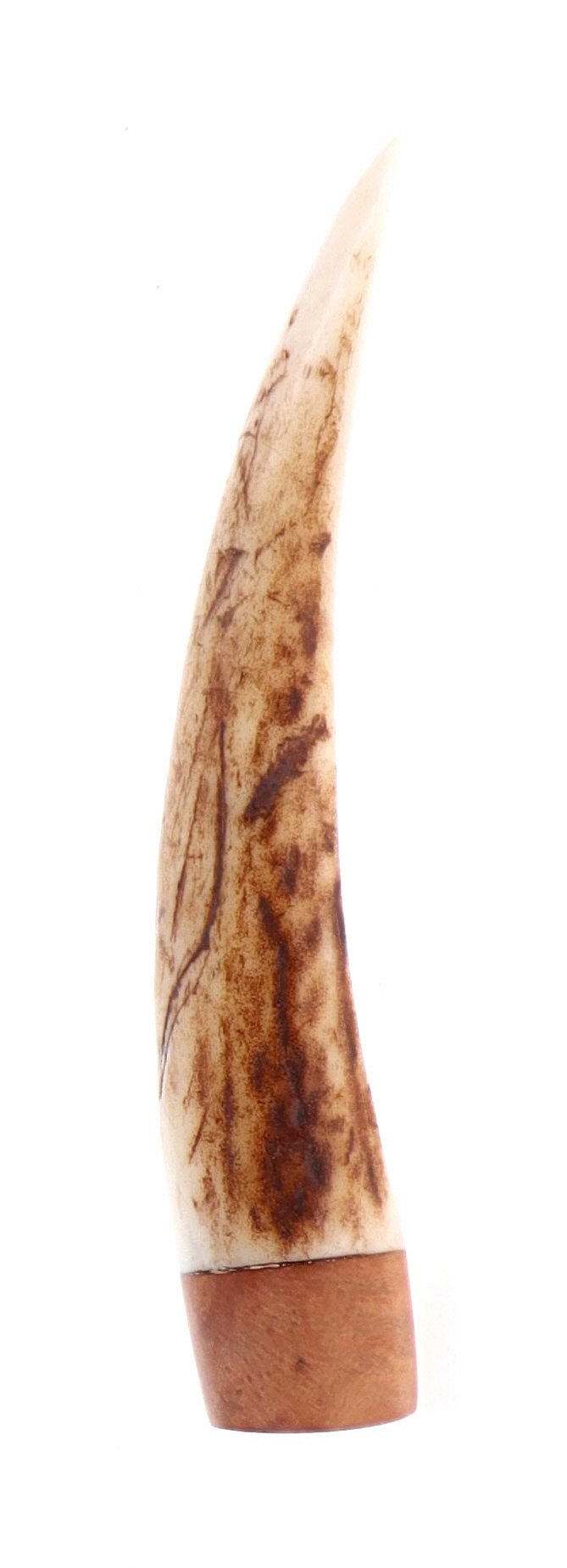 Pascucci - Pigino in Corno e Legno