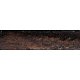 PIPE-SAV-CHURCHWARDEN-M-403-R3-06