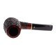 PIPE-CAM-175-04