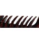 PIPE-CPI-03-06