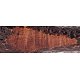 PIPE-SAV-NICHOLAS-121-R6-06