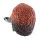 PIPE-CAS-960-08