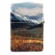ZIPPO-49352-DEF-10