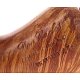 PIPE-DON-137-03