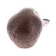 PIPE-CHA-PIPE_DE_L_ANNEE-2024-S.900-07