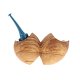 PIPE-BRNT-02703