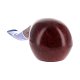 PIPE-SAV-OCEANO-673-L6-08