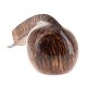 PIPE-FAS-023-08