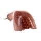 PIPE-WINS-035-08