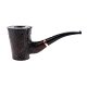 PIPE-CAM-199-01