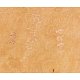 PIPE-BACI-075-06