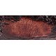 PIPE-SAV-STNIC-2023-P448ZNR-9-320-06
