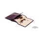 t250a-bordo-3_4