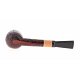 SAV-COLL2023-0307