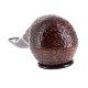 PIPE-SAV-MONSIEUR-SAB_MARR-673-300DPI-09_ql7w-7a