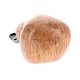 PIPE-DON-148-08