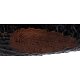 PIPE-SAV-NICHOLAS-2025-646-R9-05