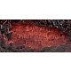 PIPE-SAV-STNIC-2023-P448ZNR-6-320-06