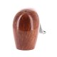 PIPE-AMO-255-08