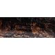 PIPE-CAS-0913-300DPI-06