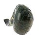PIPE-SAV-ALLI-COL-9MM-P169C9-614V-08
