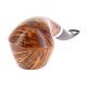PIPE-VAU-J2026B-09