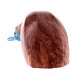 PIPE-ARD-193-08_hpal-q1