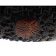 PIPE-VIT-080-10