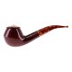 PIPE-SAV-TORTUGA-673-L6-01