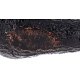 PIPE-SAV-NIC-2021-P411ZMS-9-606-06