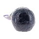 PIPE-SAV-ALLIGATOR_BLU-6MM-673-08