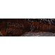 PIPE-SAV-TUNDRA-114-R9-300DPI-06