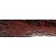 PIPE-SAV-MIELE-P243ZMC-9-207-Bald06