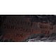 PIPE-SAV-NICHOLAS-2025-106-R6-10_a3cp-bl