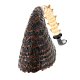 PIPE-CPI-029-08