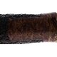 PIPE-ARD-205-06