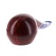 PIPE-SAV-OCEANO-673-L6-07