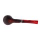 PIPE-SAV-NICHOLAS-2022-315-R6-05