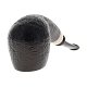 PIPE-BRNT-02509