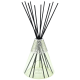 6901_BOUQUET_STARCK_VERT