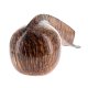 PIPE-FAS-023-07